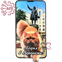 Магнит II Экран вертикальный с рыжим котом Воронеж 33275 33275