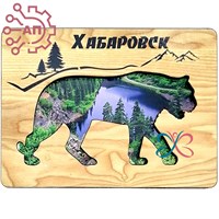 Магнит II контурный береза Тигр Хабаровск 30522 30522