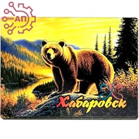 Магнит II серия "Животные России" Медведь 3 Хабаровск 34021 34021