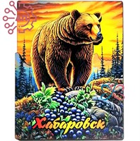 Магнит II серия "Животные России" Медведь 5 Хабаровск 34025 34025