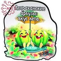 Магнит I Стикер Арбуз "Вкус лета" Астрахань 34102 34102