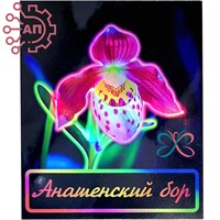 Магнит I Неон Прямоугольник Венерин башмачок Красноярск, Анашенский бор 34157 34157