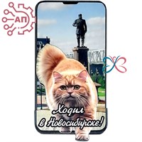 Магнит II Экран вертикальный с рыжим котом Новосибирск 34189 34189