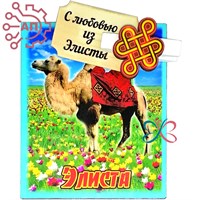 Магнит I с прищепкой Верблюд с узлом счастья Калмыкия, Элиста 34299 34299