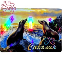 Картина на магните Нерпы Сахалин 34321 34321