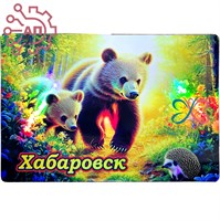 Картина на магните Медвежата с ежом Хабаровск 34358 34358