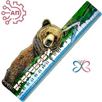 Линейка цветная Бурый медведь Хабаровск 34373 34373