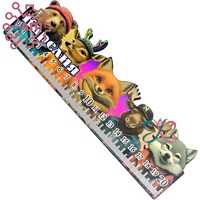 Линейка цветная Животные Карелия 34546 34546