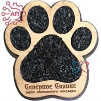 Магнит с кристаллами Лапа собаки Северное сияние, Мурманск 34581 34581