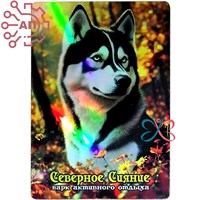 Магнит I голограмма Хаски Северное сияние Мурманск 34670 34670