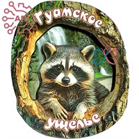 Магнит II Кора с енотом Гуамское ущелье, Краснодарский край 34778 34778