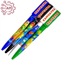 Ручки шариковые печать с лаком в ассортименте Камчатка 34815 34815