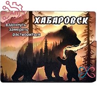 Магнит II Медведица с медвежонком Хабаровск 34825 34825