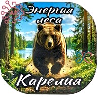 Магнит II серии 