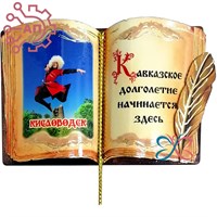 Магнит с тиснением Книга Кисловодск 31753 31753