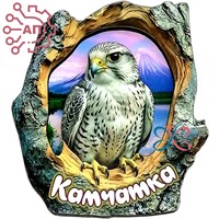 Магнит II Кора с соколом Камчатка 34974 34974