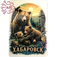 Магнит II серии "Постер" Медведица с медвежатами Хабаровск 35085 35085