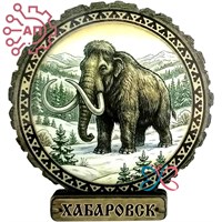Магнит II серии "Этно" Мамонт Хабаровск 35092 35092