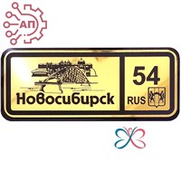 Магнит II зеркальный на пластике (Ш) Номер региона Новосибирск 35110 35110