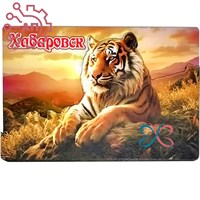Магнит II Тигр на закате Хабаровск 35120 35120