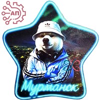 Магнит I Белый медведь в панаме Мурманск 35140 35140