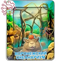 Магнит III с закрытой фурнитурой Капибара Воронеж 35231 35231