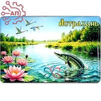 {{productViewItem.photos[photoViewList.activeNavIndex].Alt || productViewItem.photos[photoViewList.activeNavIndex].Description || 'Магнит I со смолой Стерлядь Астрахань 2540'}}