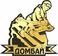 Магнит II зеркальный на пластике  Лыжник Домбай FS000634 FS000634