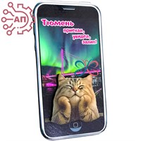 Магнит II Экран вертикальный с котом Тюмень 35235 35235