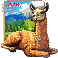 Магнит II Квадрат с ламой Архыз, Карачаево-Черкессия 34800 34800
