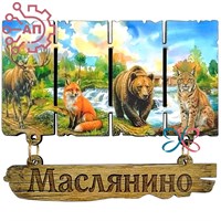 Магнит I с подвесами Дощечки коллаж Маслянино, Новосибирск 32873 32873