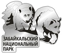 Сувенирный зеркальный магнит Медведи вид 1 с символикой Вашего города - фото 36903