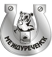 Магнит Подкова Медведь с гербом Вашего города зеркальный серебо - фото 37178