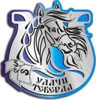 Магнит Подкова "Удачи" вид 2 Лошадь с названием Вашего города серебро-синий Теберда - фото 37487