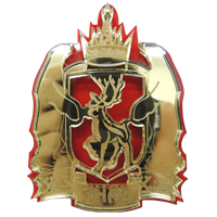Магнит Герб Вашего города золото-красный Астрахань арт FS000701 - фото 37678