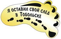 Купить магнитик на холодильник зеркальный след Тобольск - фото 42405