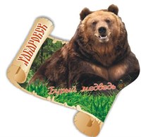 Магнит I Медведь на свитке Хабаровск FS007566 - фото 46883