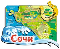 Магнит Карта побережья с зеркальной фурнитурой и символикой Сочи - фото 49269