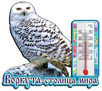 Магнит I Сова с термометром Воркута 25909 - фото 55203
