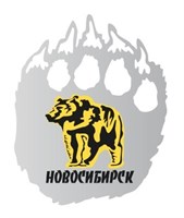 Магнит зеркальный комбинированный Лапа медведя с символикой Новосибирска вид 1 - фото 63941