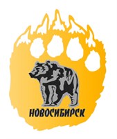 Магнит зеркальный комбинированный Лапа медведя с символикой Новосибирска вид 1 - фото 63942