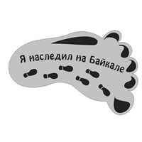 Магнит зеркальный 1 слой След Байкал, Иркутск 27326 - фото 64053