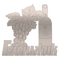 Магнит зеркальный Бутылка с виноградом и символикой Геленджика - фото 69091