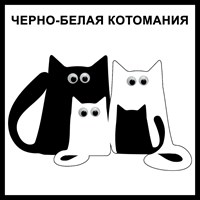 Магнит II пластик черно-белый Коты с глазами 28870 28870 - фото 73140
