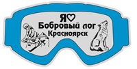 Магнит Очки с символикой Красноярска - фото 73717