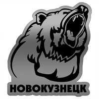 Зеркальный магнитик Медведь вид 2 с символикой Новокузнецка - фото 77358