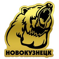 Зеркальный магнитик Медведь вид 2 с символикой Новокузнецка - фото 77359