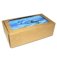 Купюрница со смолой Дельфины вид 2 с символикой Вашего города - фото 80576