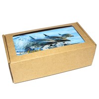 Купюрница со смолой Дельфины вид 3 с символикой Анапы - фото 80588