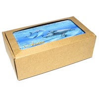 Купюрница со смолой Дельфины вид 4 с символикой Вашего города - фото 80600